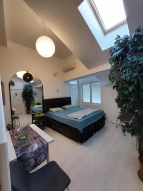 Sweet Apartments or Rooms